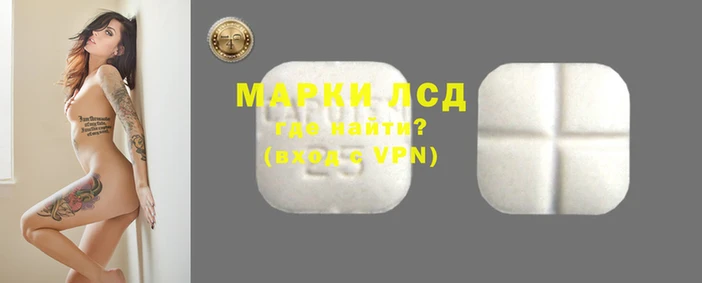 ГАЛЛЮЦИНОГЕННЫЕ ГРИБЫ Балахна